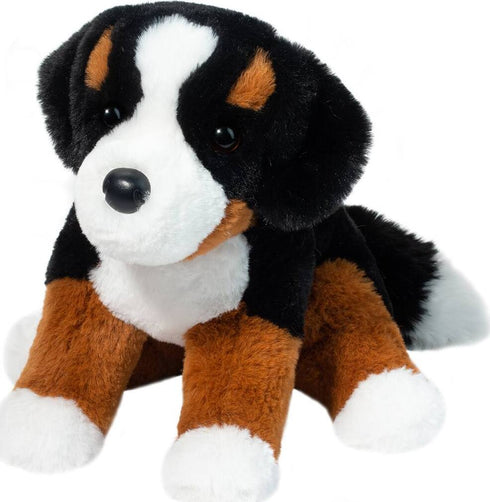 BOWIE BERNESE MOUNTAIN DOG